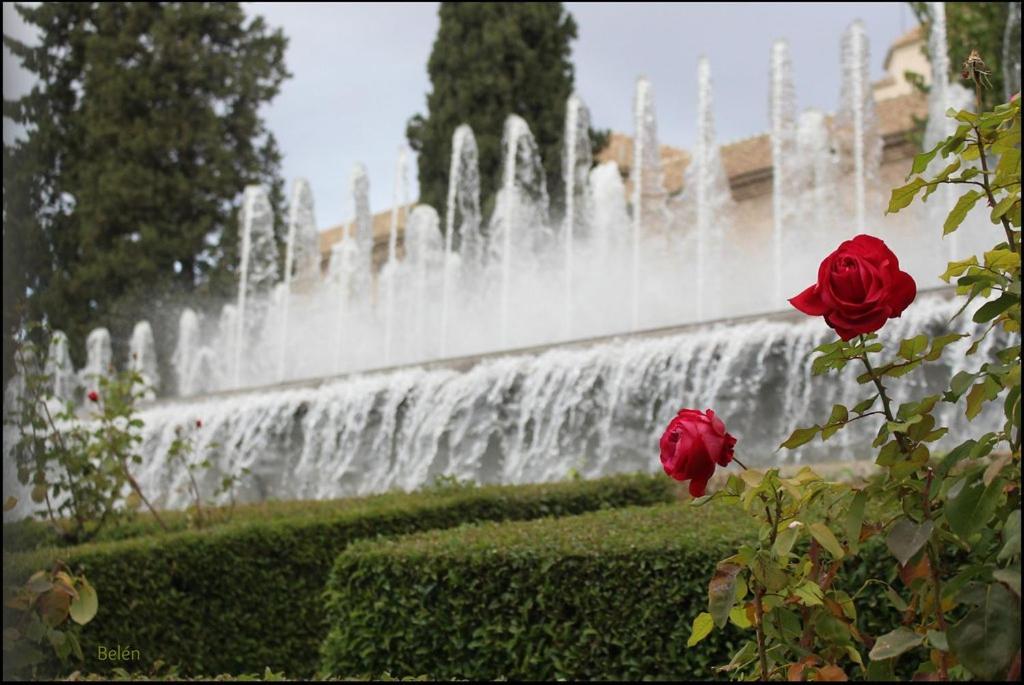 Jardines Del Triunfo Apartamentos Granada Exteriör bild